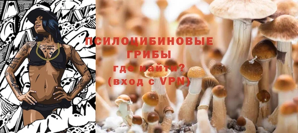 мдпв Володарск