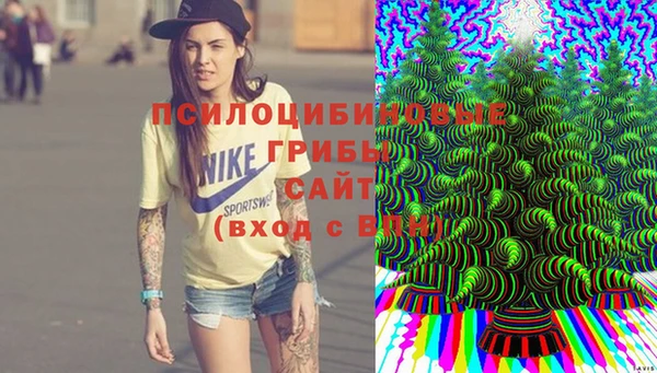 a pvp Вязники