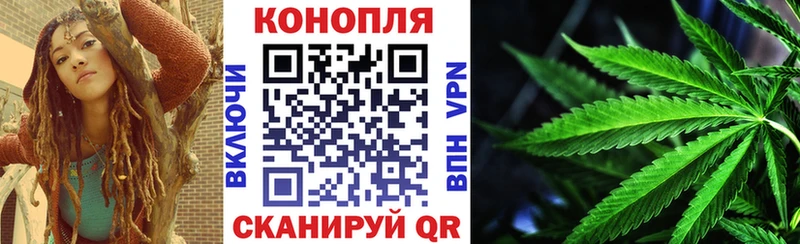 Конопля гибрид  Елец 